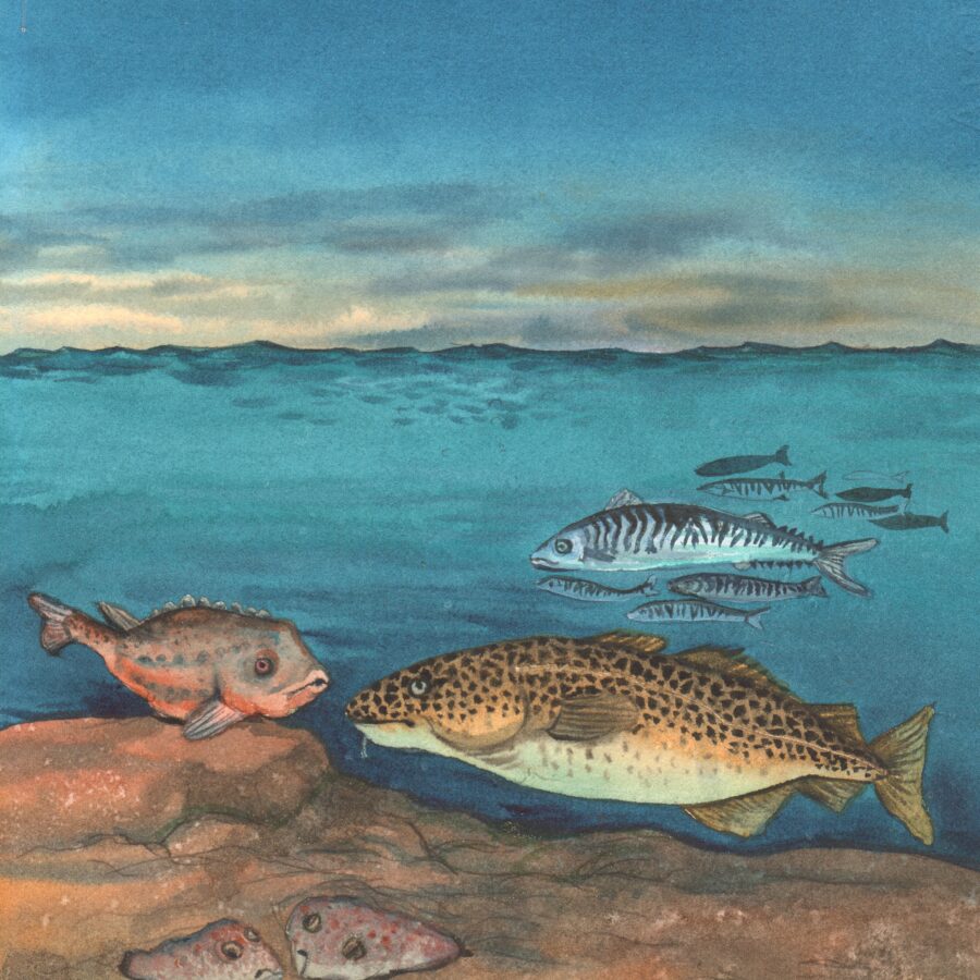 DET HELE GÅR I FISK!
